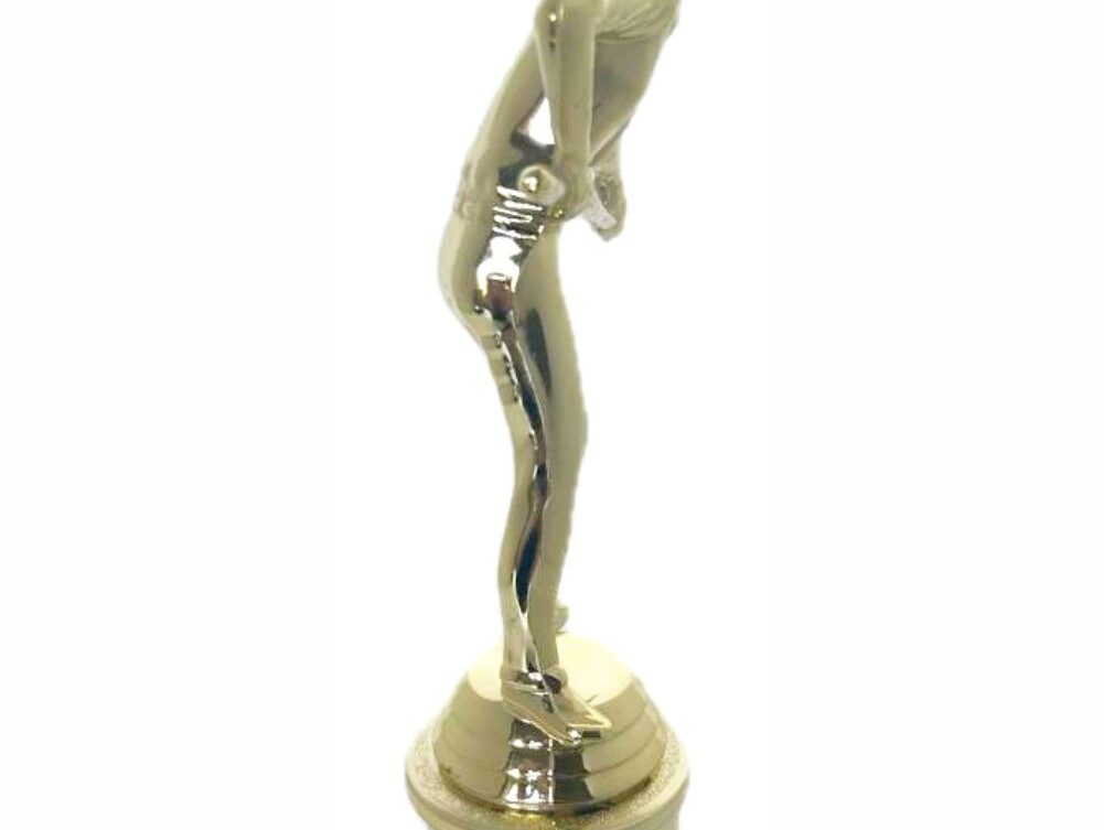 Pool Male Trophy 295mm