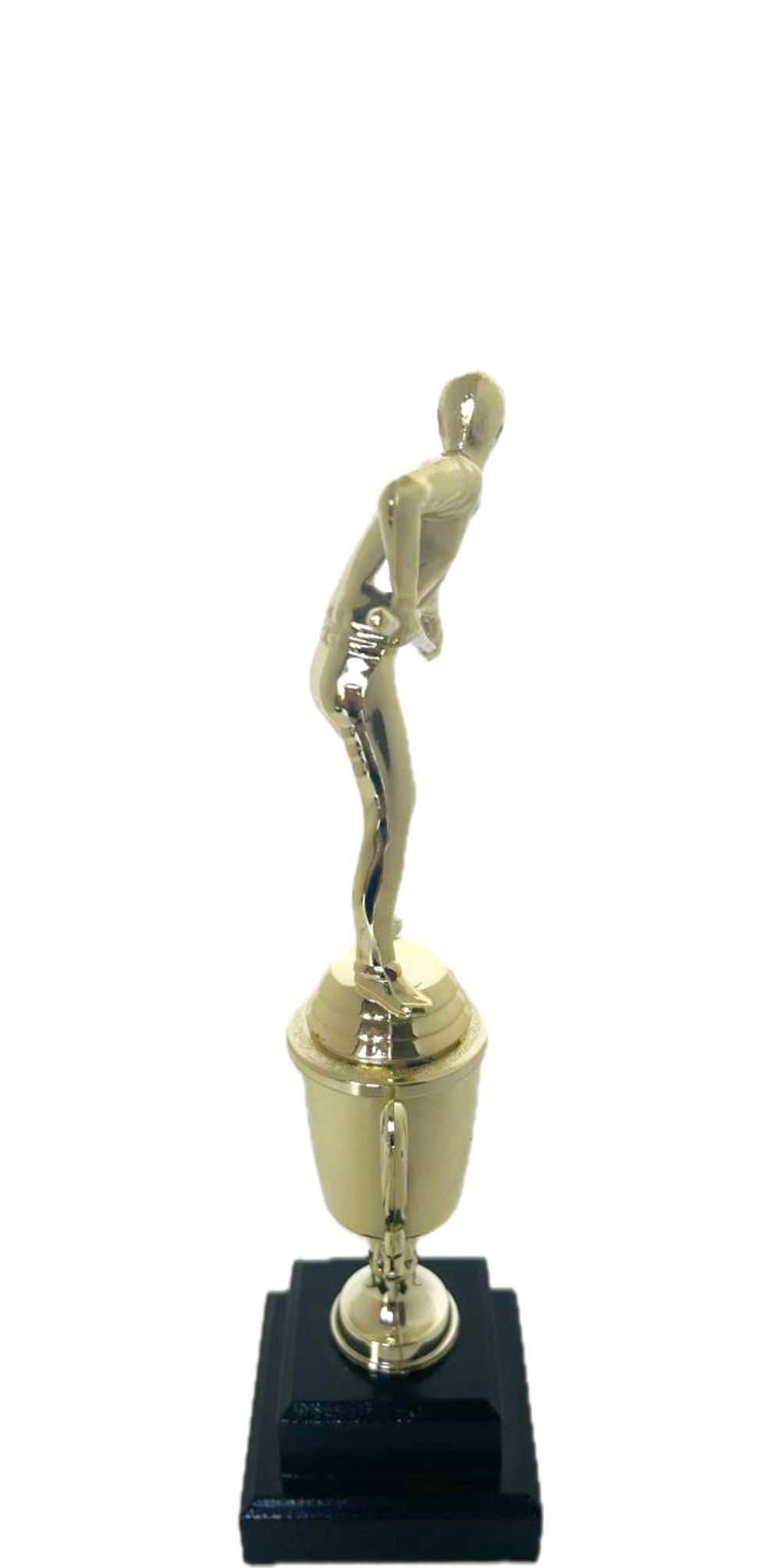 Pool Male Trophy 295mm