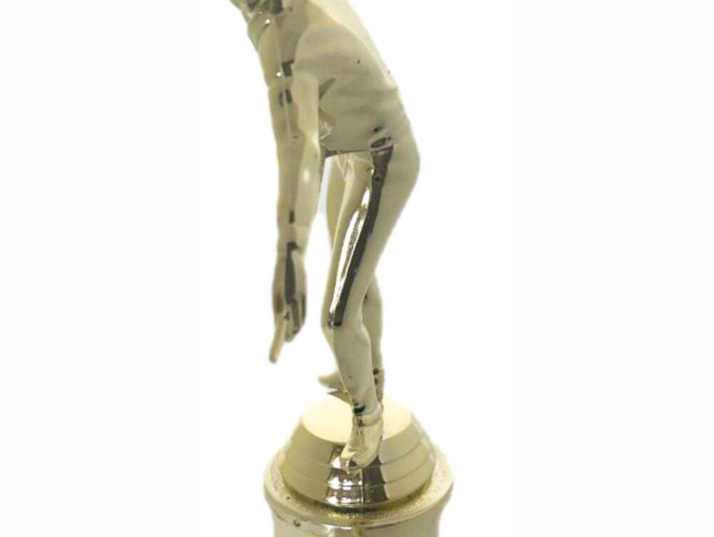 Pool Male Trophy 295mm