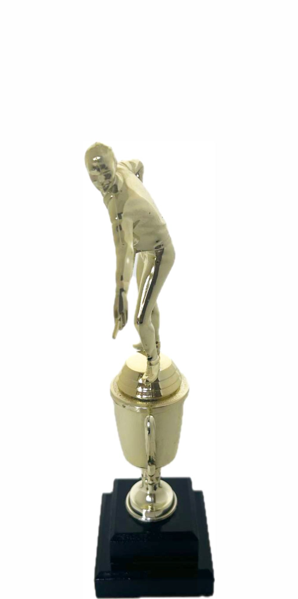 Pool Male Trophy 295mm