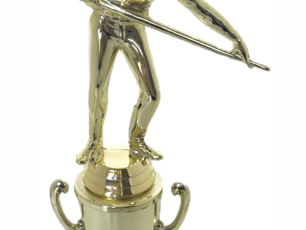 Pool Male Trophy 330mm