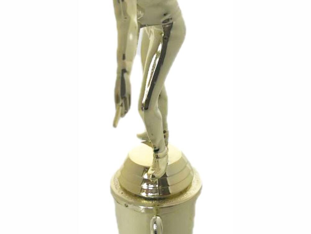 Pool Male Trophy 330mm