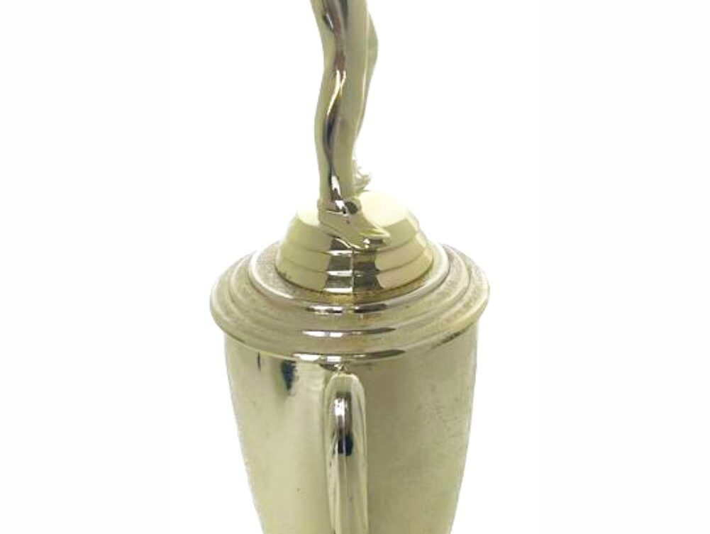 Pool Male Trophy 370mm