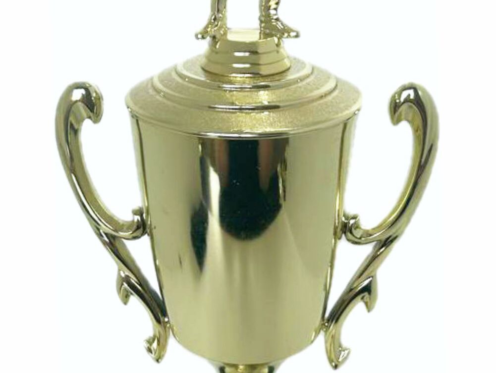 Pool Male Trophy 410mm