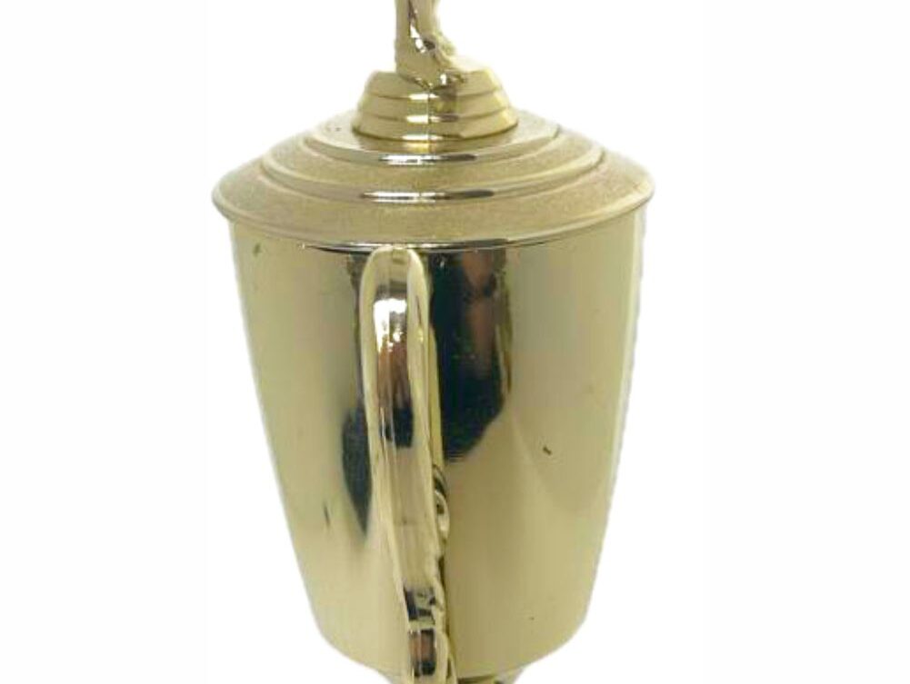 Pool Male Trophy 410mm
