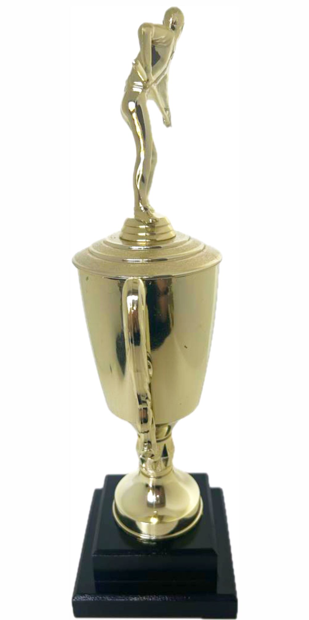 Pool Male Trophy 410mm