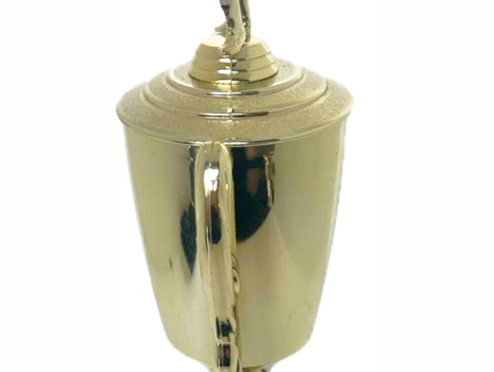 Pool Male Trophy 410mm
