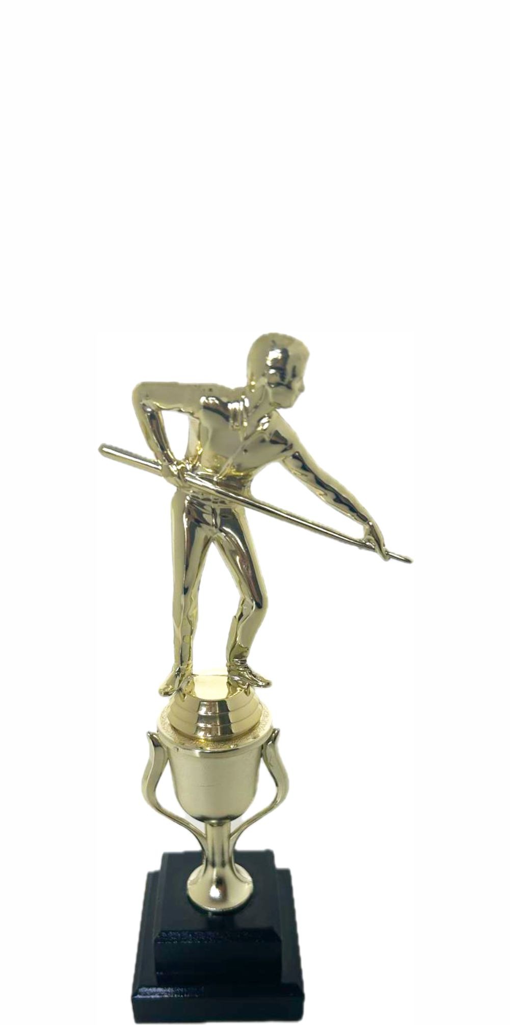 Pool Male Trophy 270mm