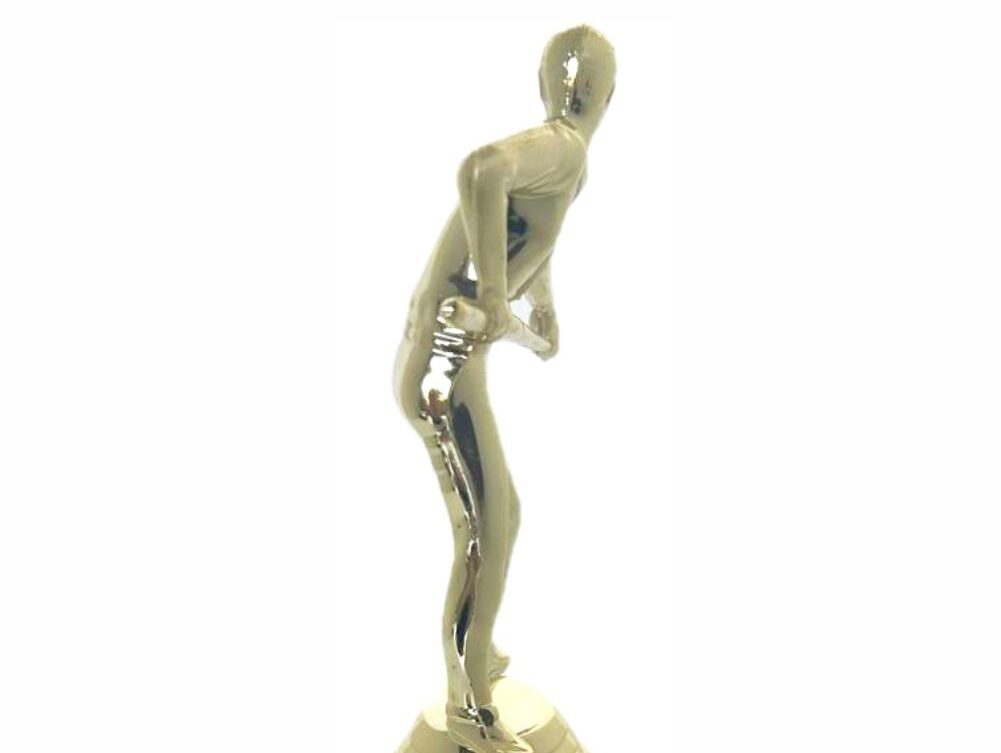 Pool Male Trophy 270mm