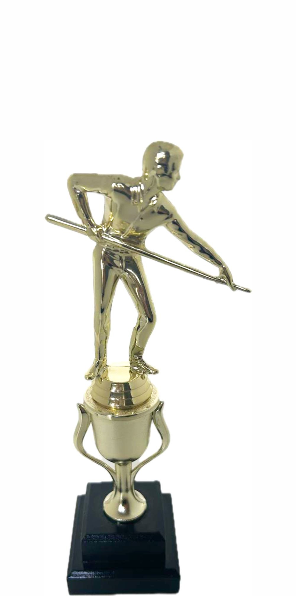 Pool Male Trophy 295mm