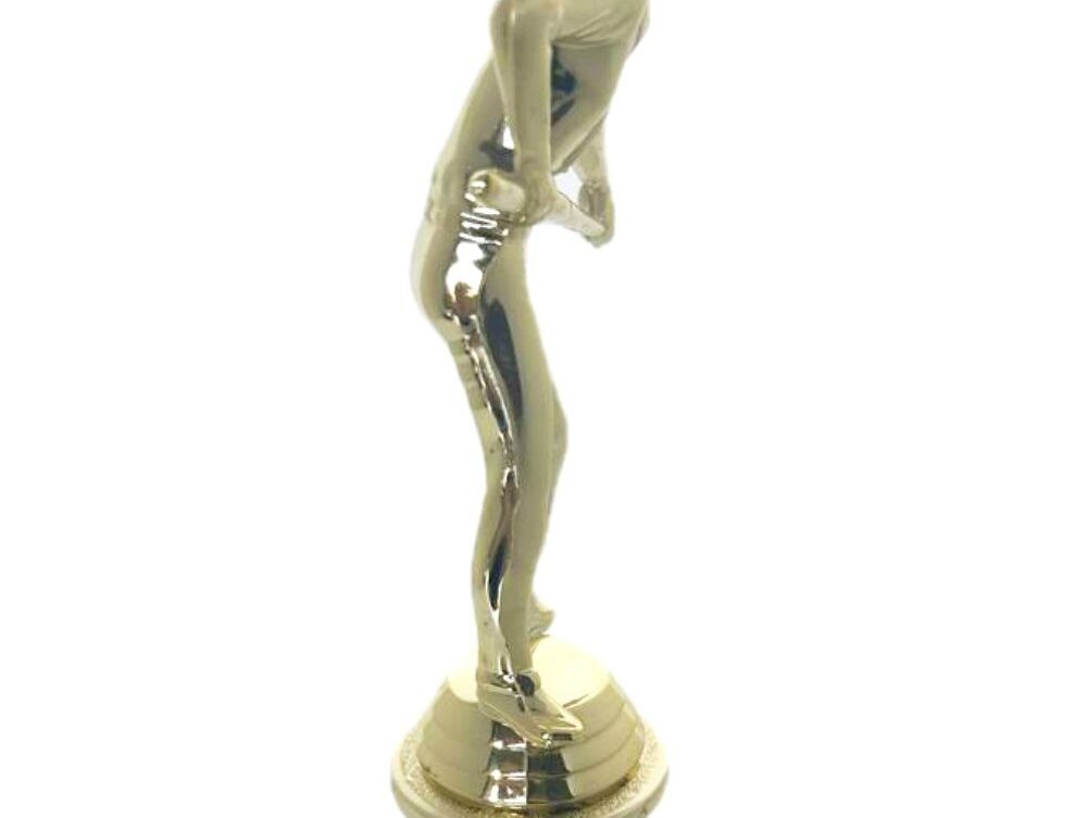 Pool Male Trophy 295mm