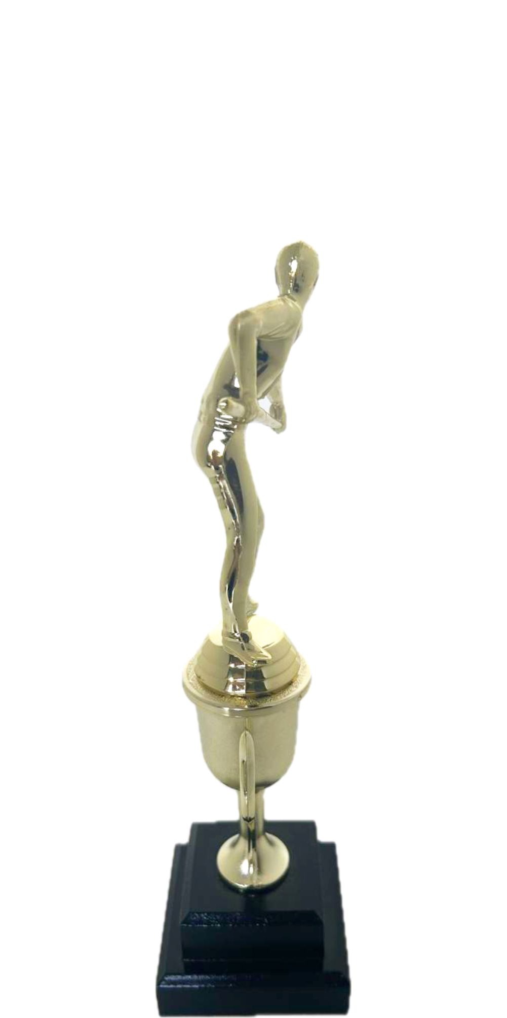 Pool Male Trophy 295mm