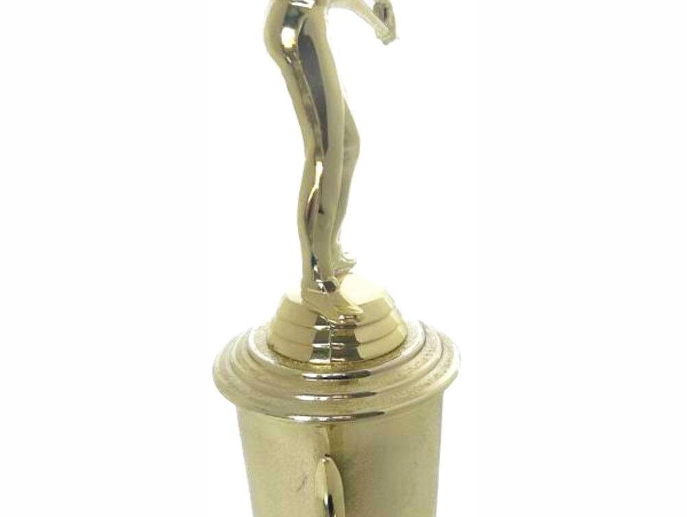 Pool Male Trophy 330mm