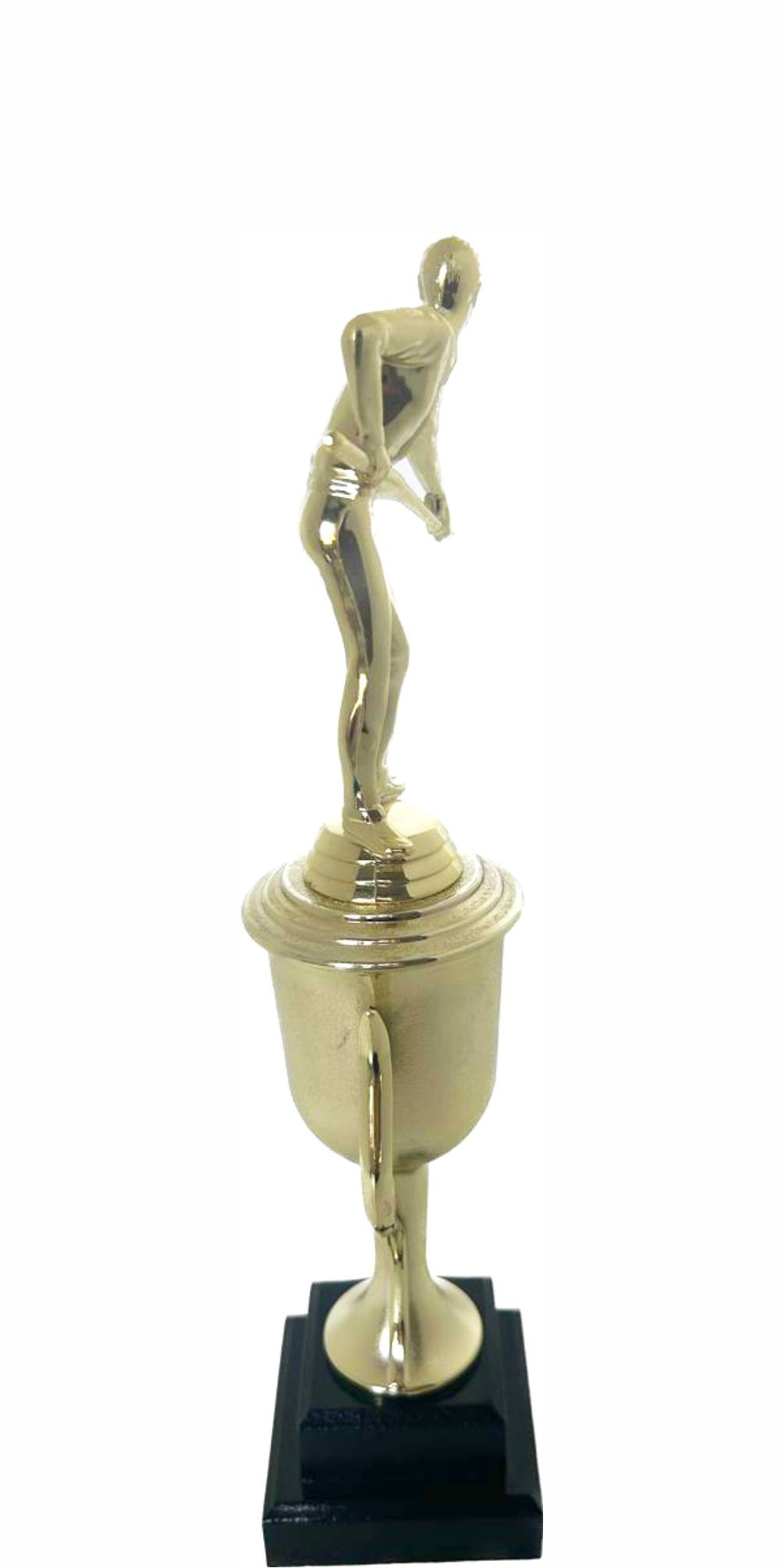 Pool Male Trophy 330mm