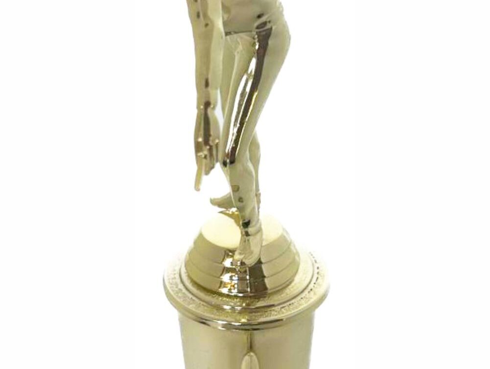 Pool Male Trophy 330mm
