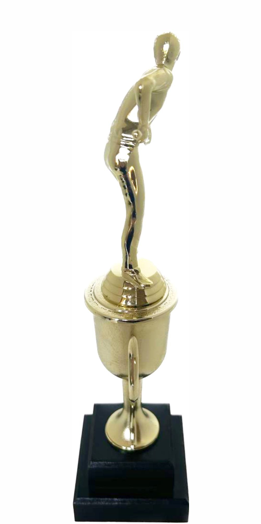 Pool Male Trophy 370mm