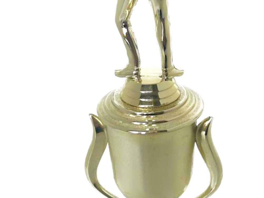 Pool Male Trophy 370mm
