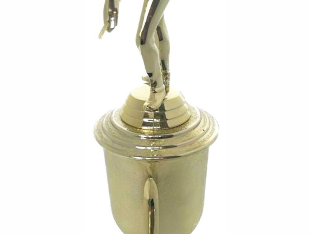 Pool Male Trophy 370mm