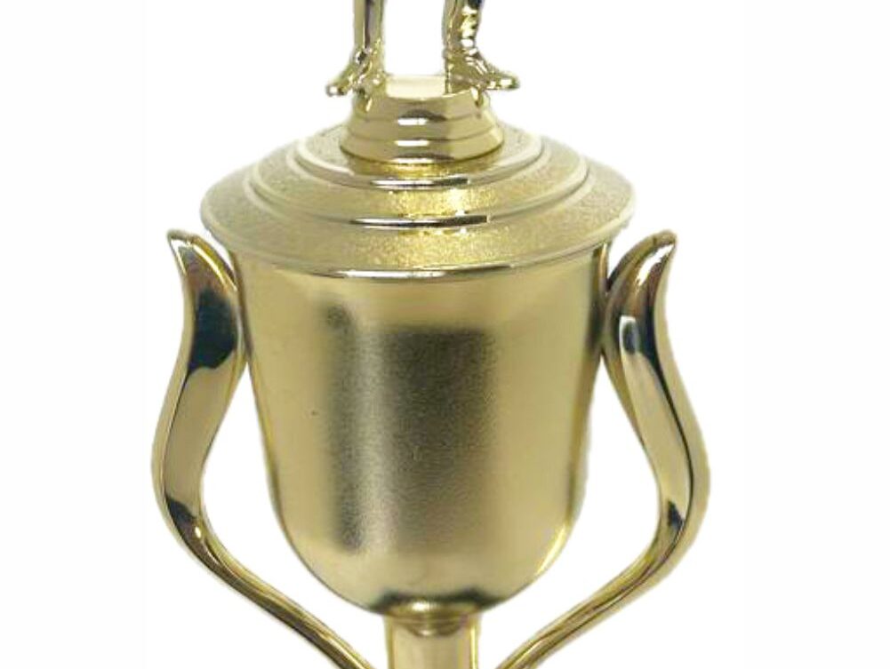 Pool Male Trophy 410mm