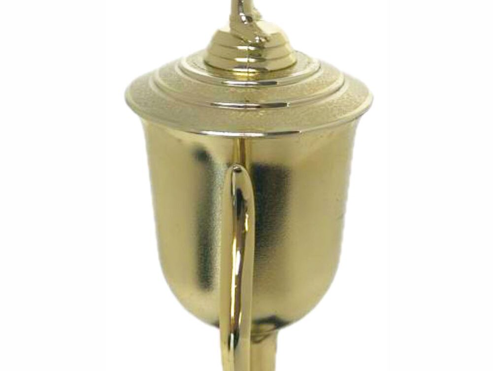 Pool Male Trophy 410mm