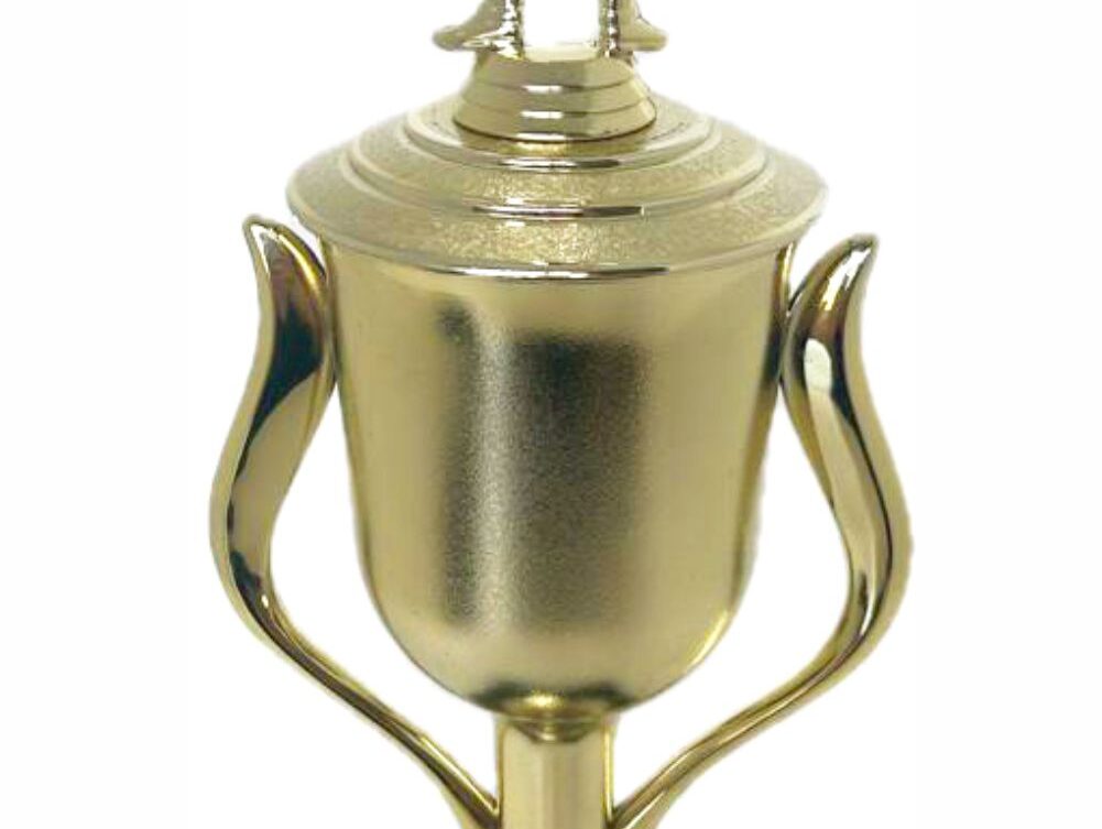 Pool Male Trophy 410mm