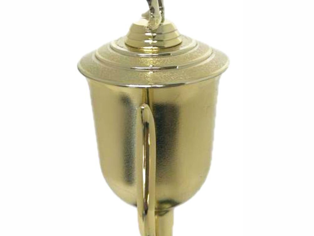 Pool Male Trophy 410mm