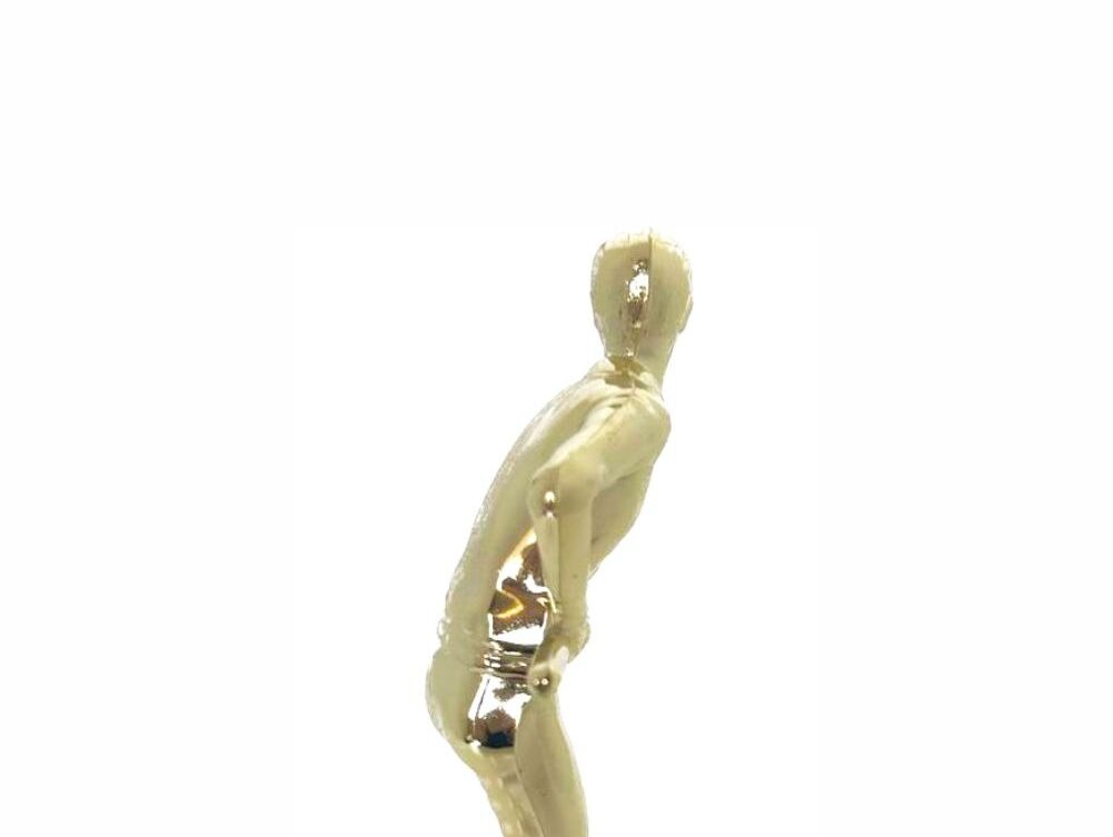 Pool Male Trophy 170mm