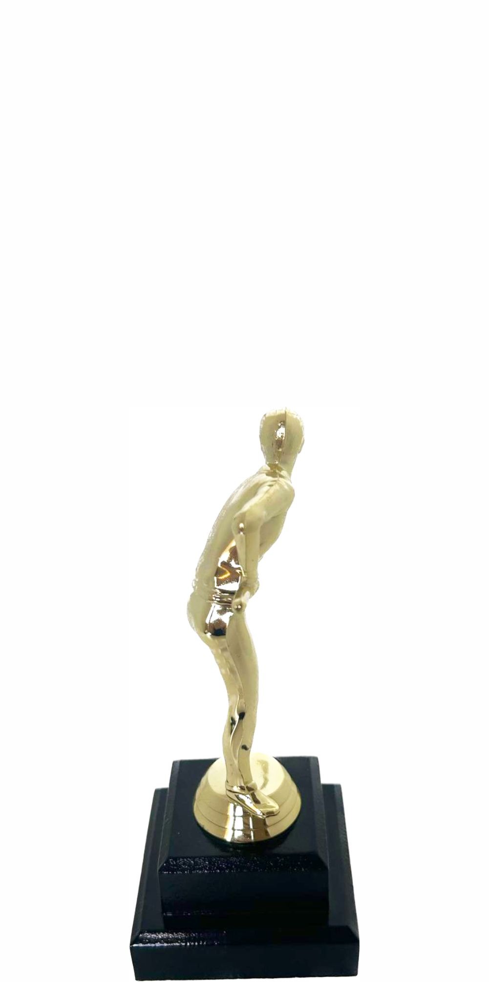 Pool Male Trophy 170mm