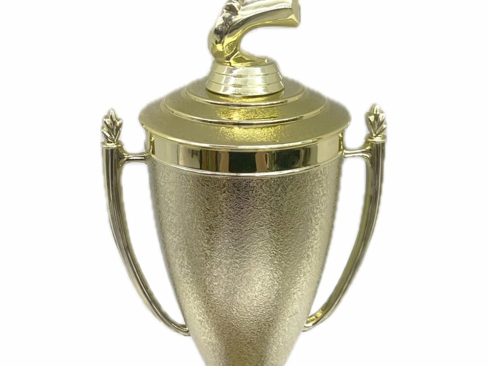 Basketball S/D Female Trophy 430mm