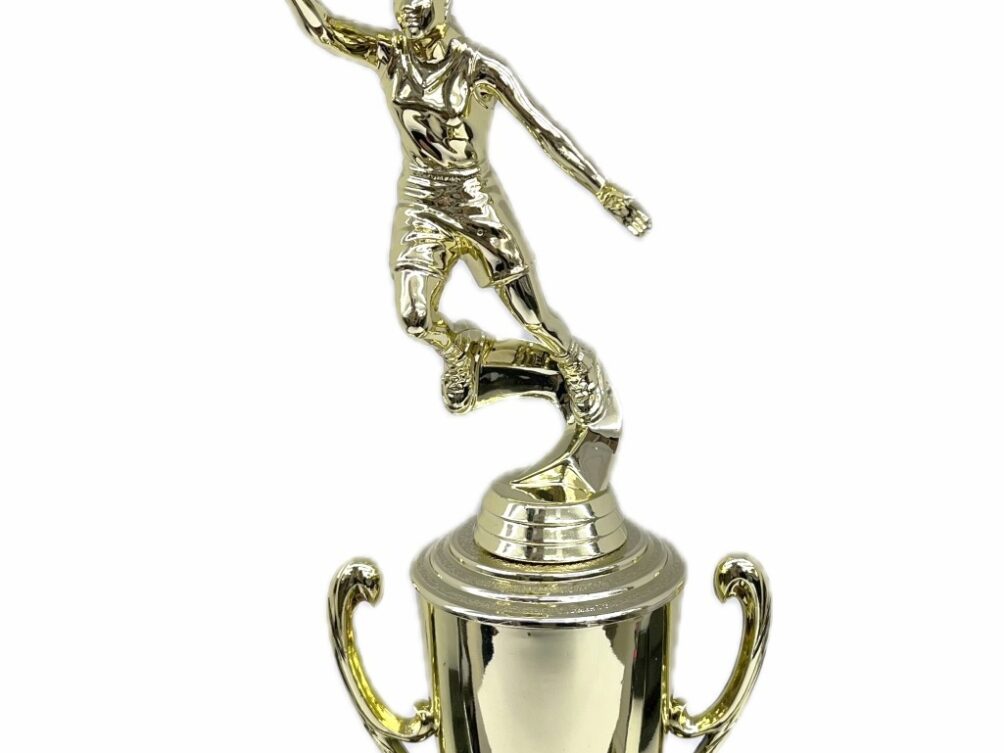 Basketball S/D Female Trophy 310mm