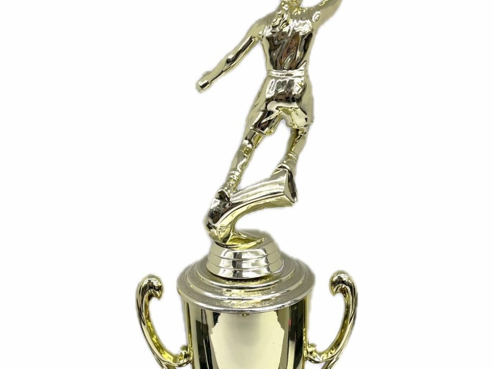 Basketball S/D Female Trophy 310mm