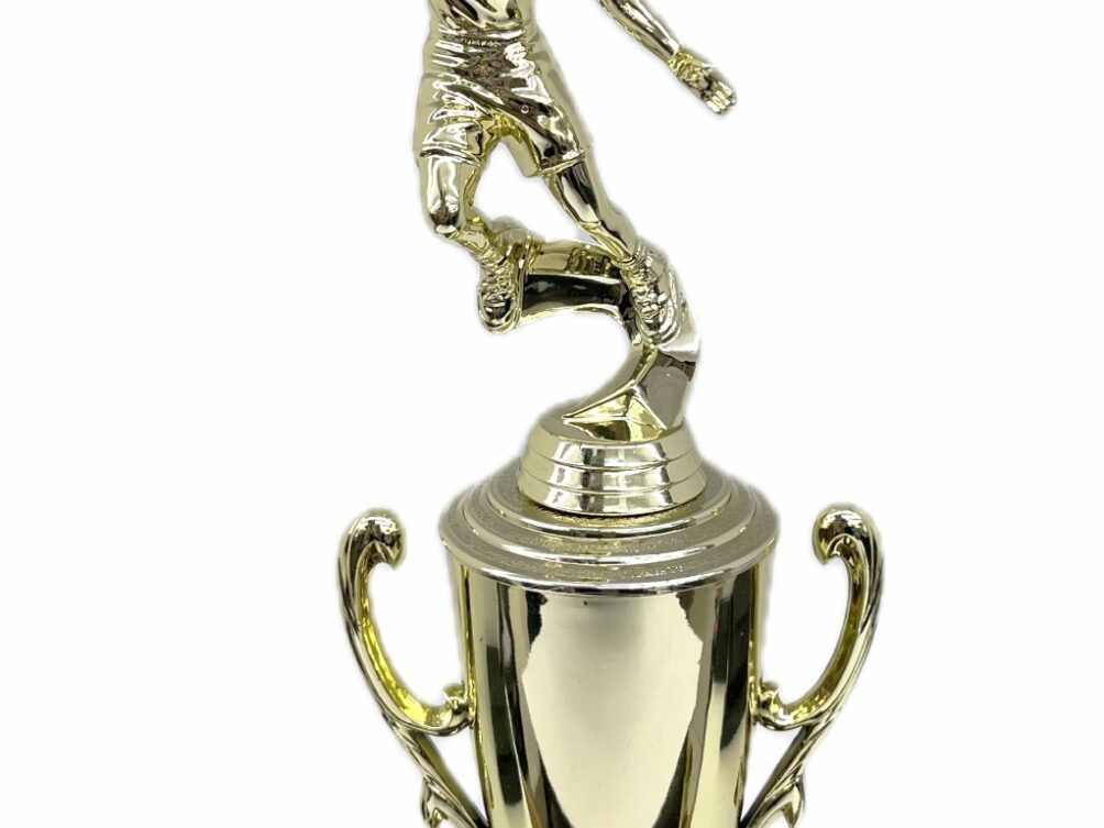 Basketball S/D Female Trophy 350mm
