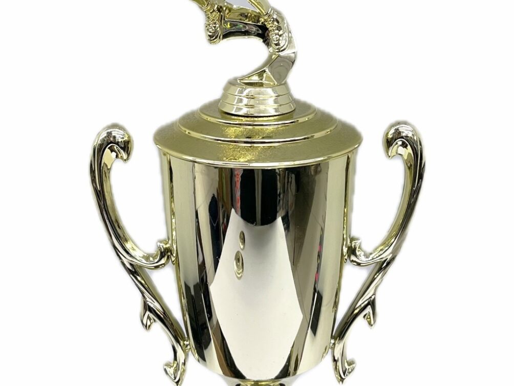 Basketball S/D Female Trophy 390mm