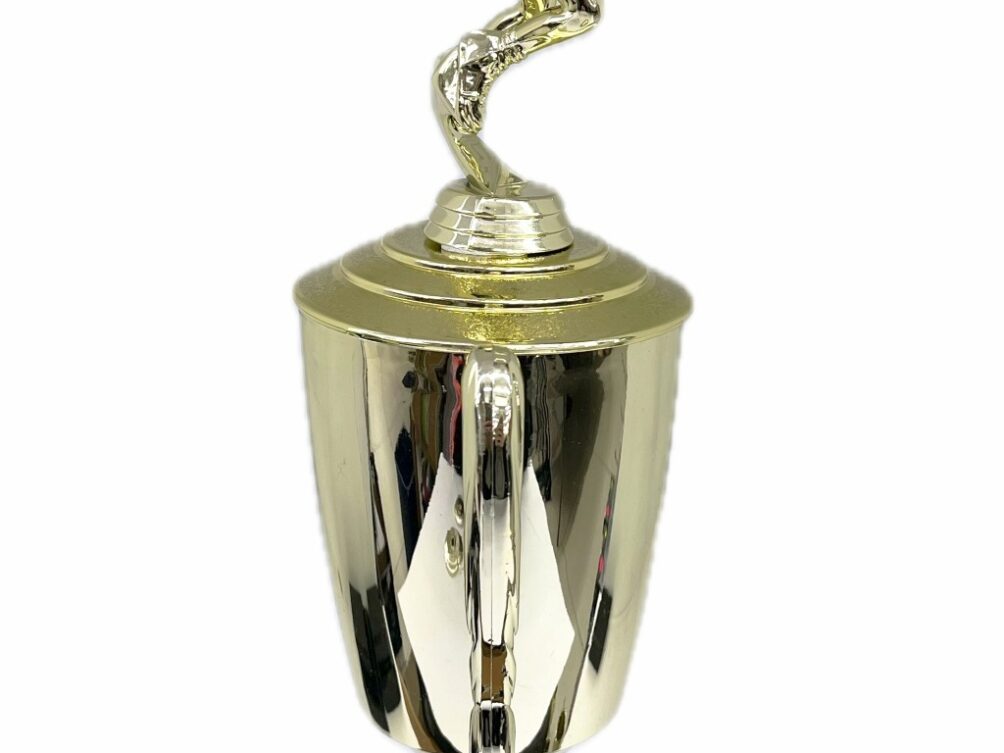 Basketball S/D Female Trophy 390mm