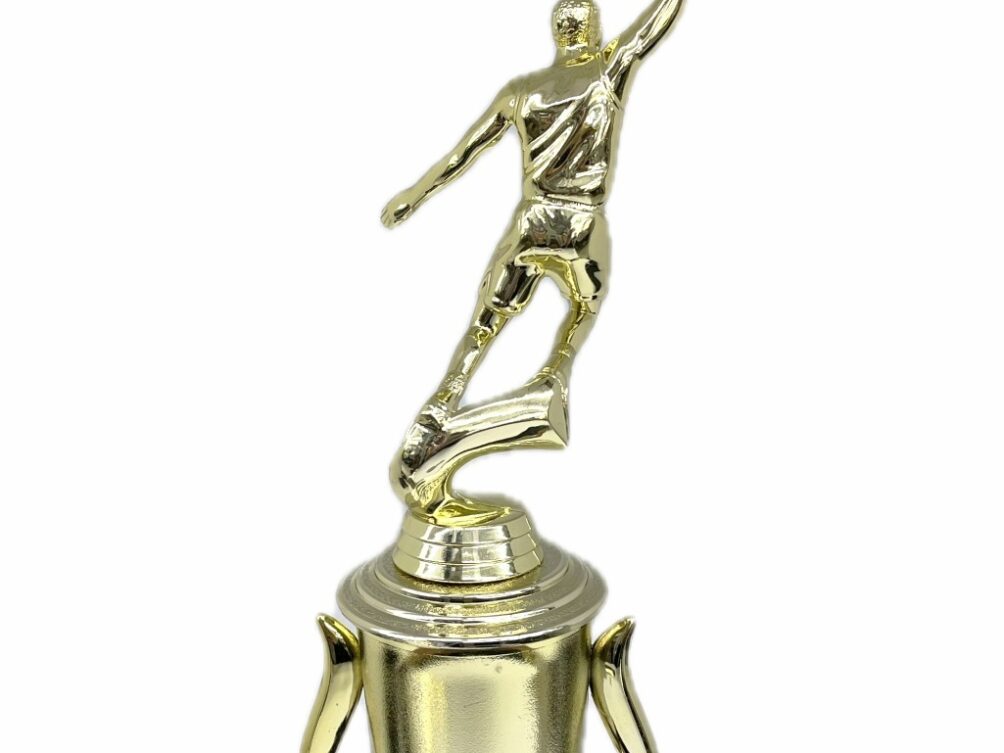 Basketball S/D Female Trophy 310mm