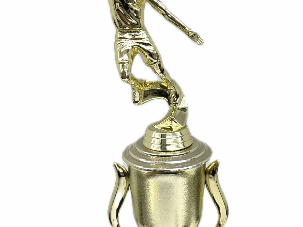 Basketball S/D Female Trophy 350mm