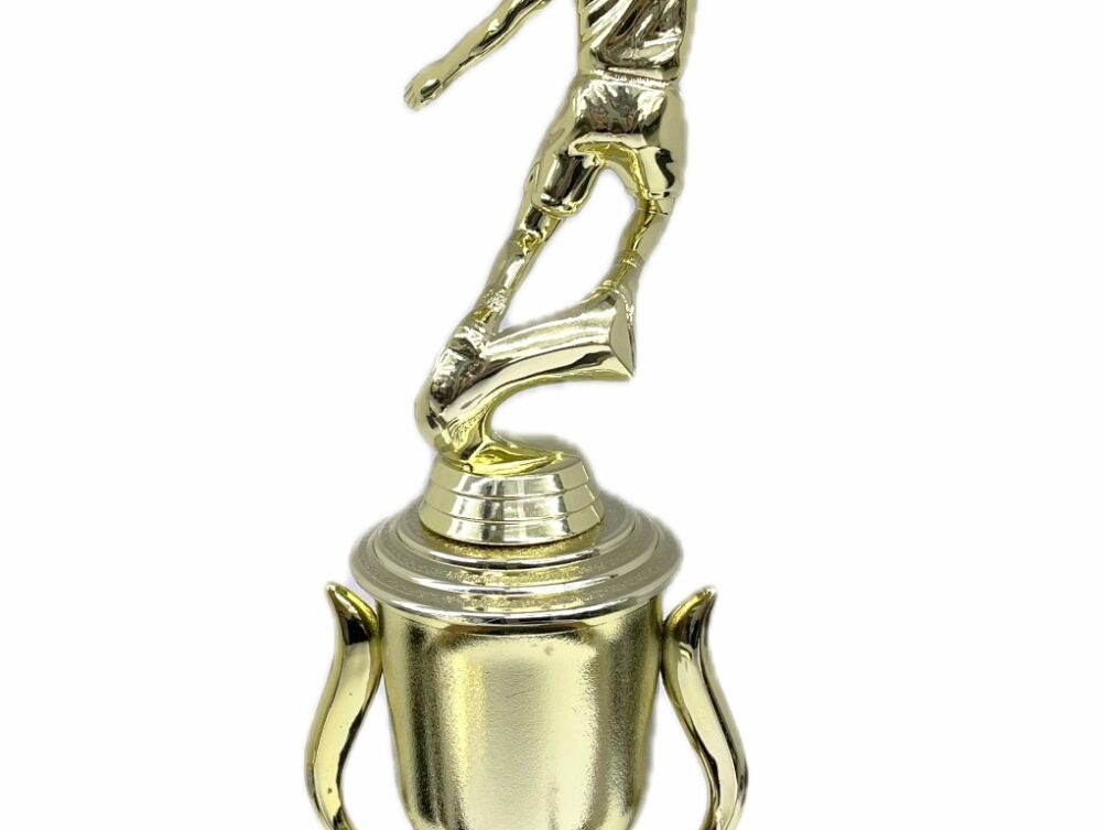 Basketball S/D Female Trophy 350mm