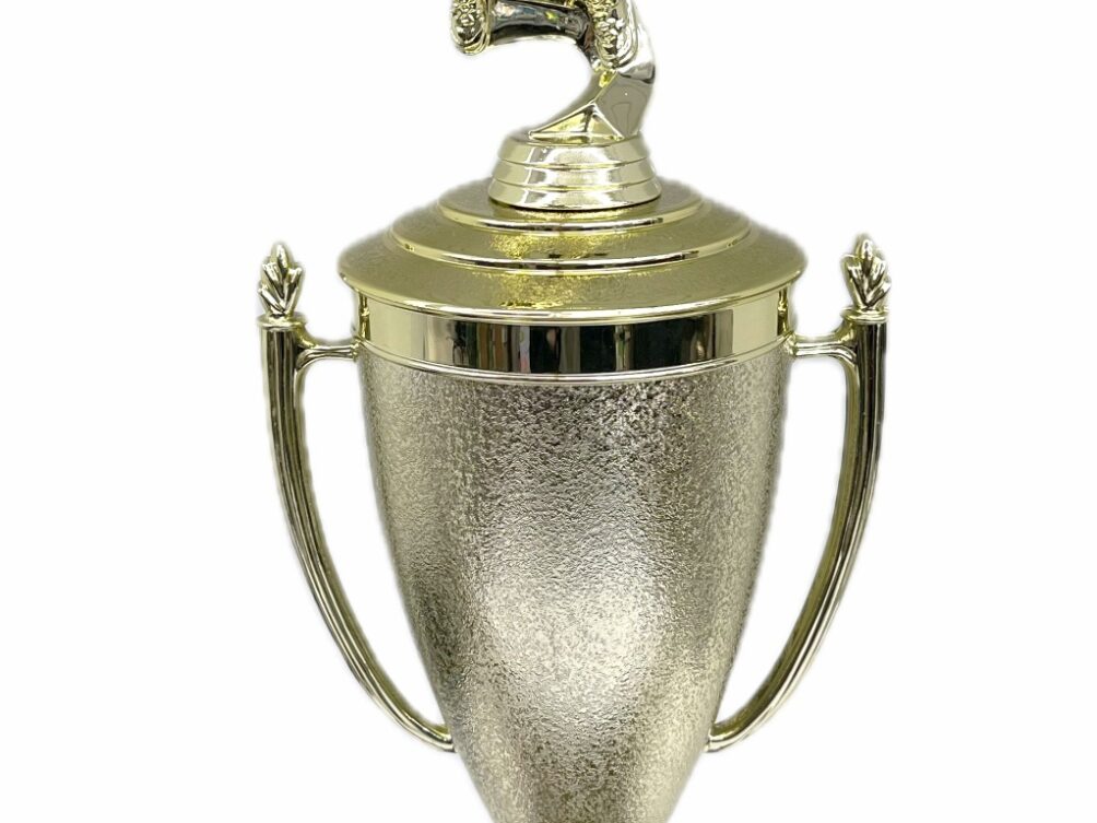 Basketball S/D Male Trophy 430mm