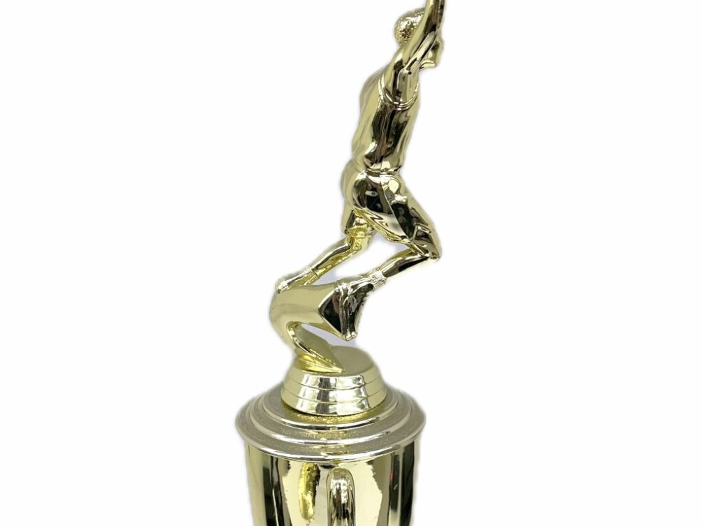 Basketball S/D Male Trophy 310mm