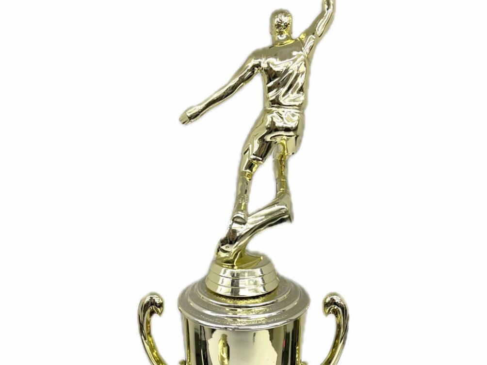 Basketball S/D Male Trophy 310mm