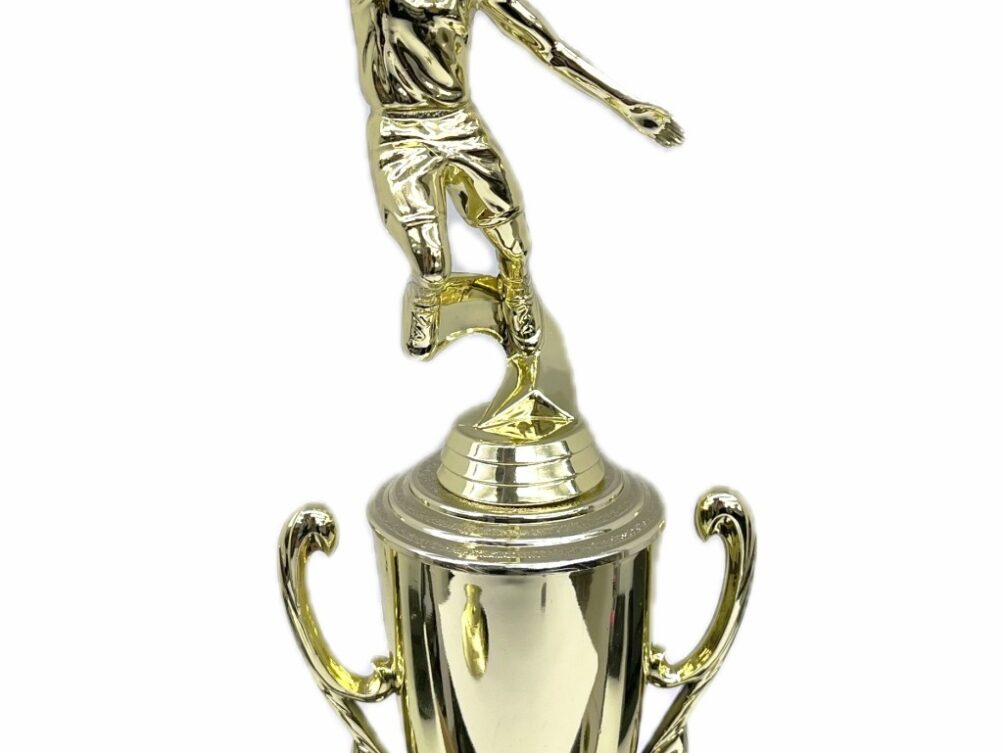 Basketball S/D Male Trophy 350mm