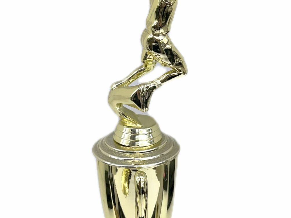 Basketball S/D Male Trophy 350mm