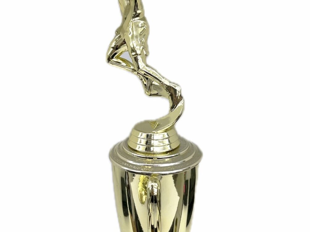 Basketball S/D Male Trophy 350mm