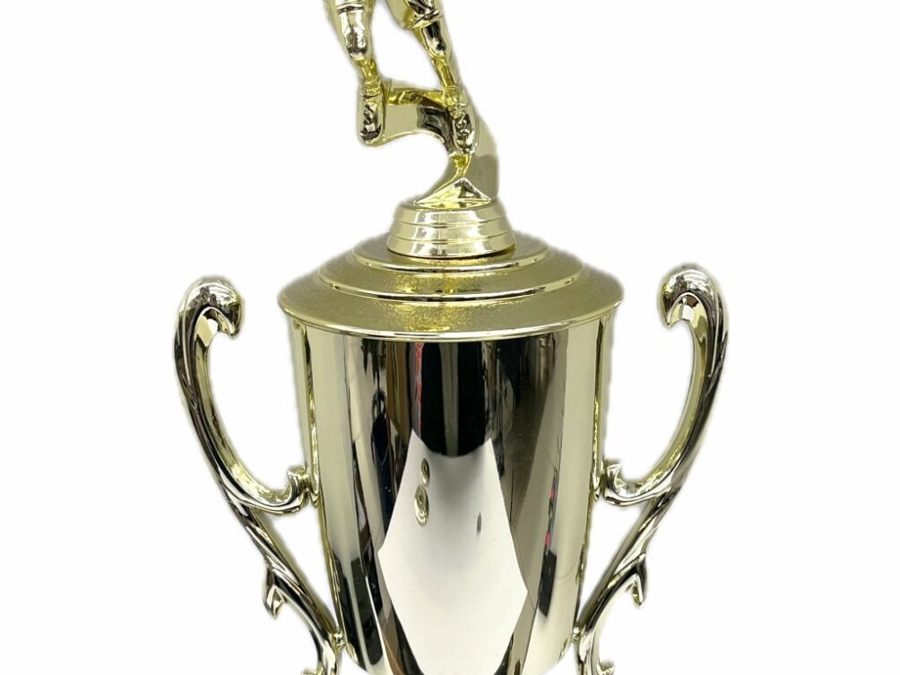 Basketball S/D Male Trophy 390mm