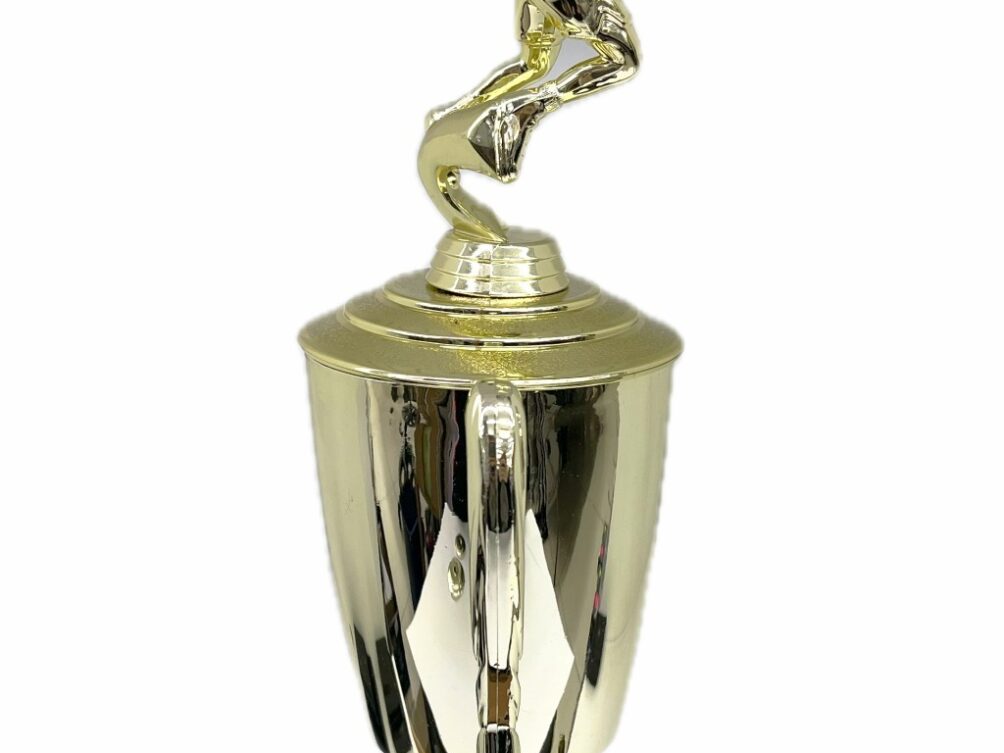 Basketball S/D Male Trophy 390mm