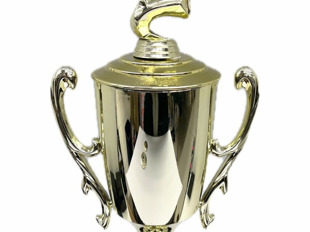 Basketball S/D Male Trophy 390mm