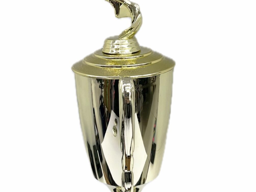 Basketball S/D Male Trophy 390mm