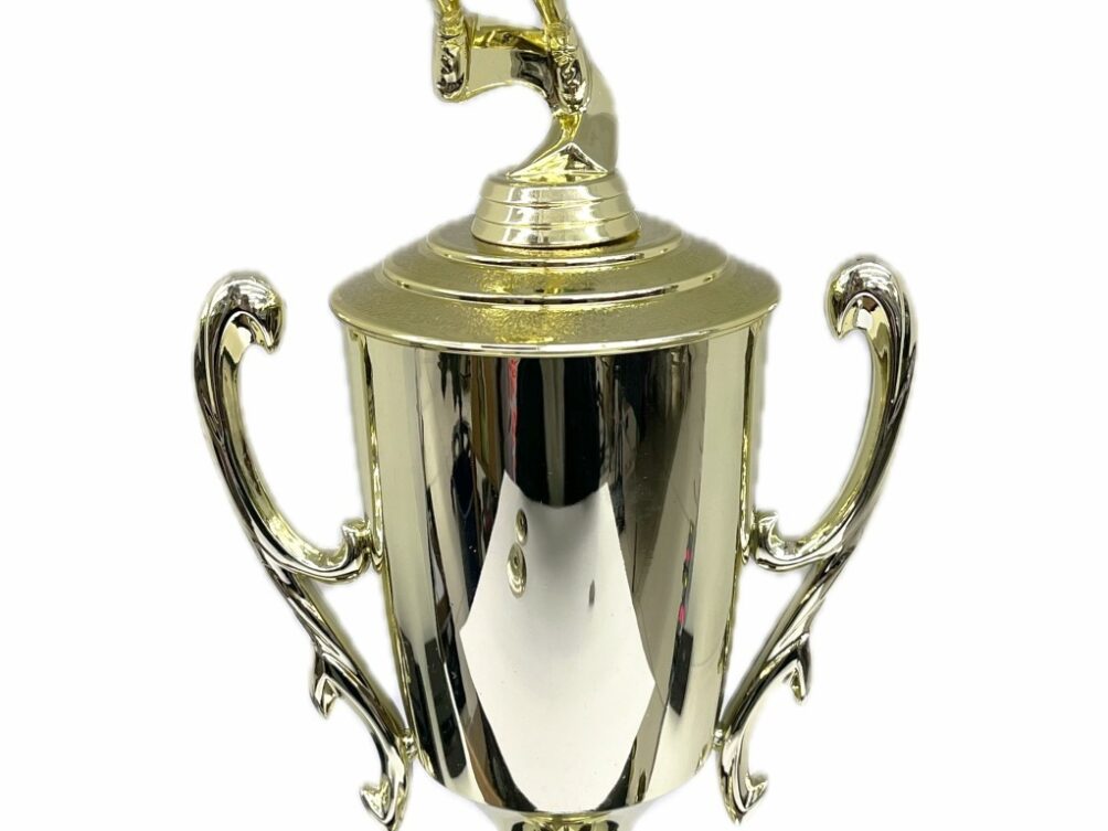 Basketball S/D Male Trophy 430mm