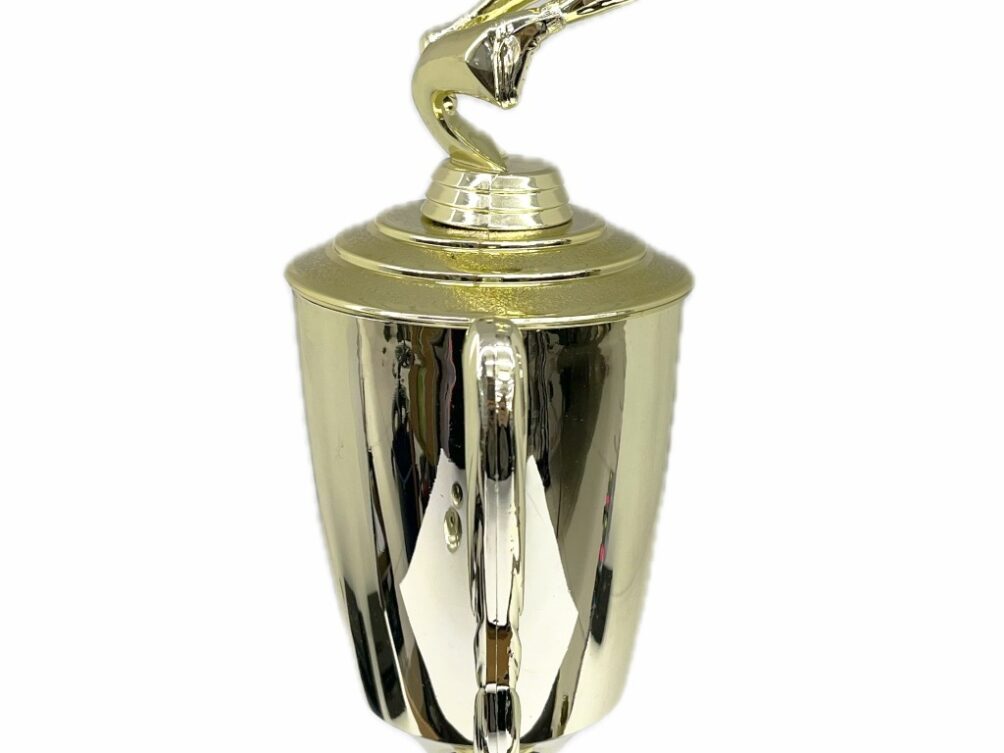Basketball S/D Male Trophy 430mm