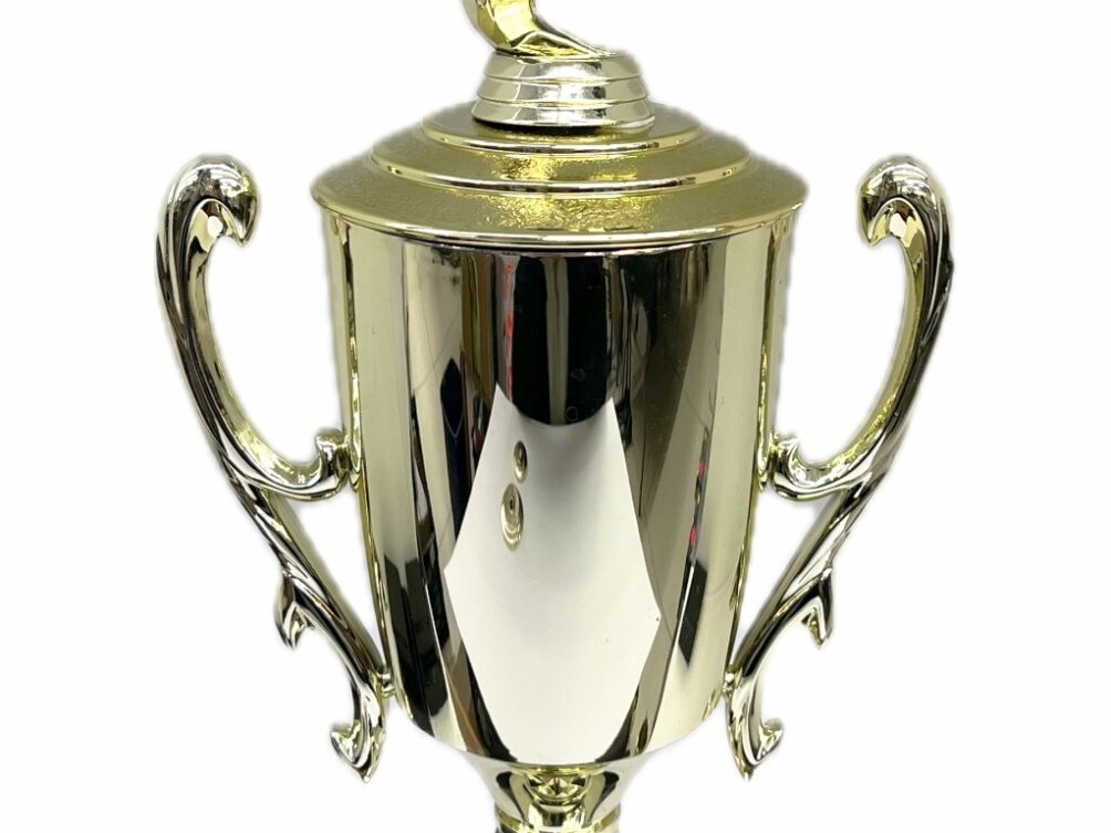 Basketball S/D Male Trophy 430mm